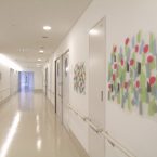 福岡大学病院新診療棟 小児医療センター / ひびのこづえ /病棟廊下